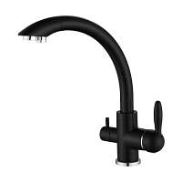 Смеситель для кухни Paulmark ESSEN Es213001-AN две воды антрацит