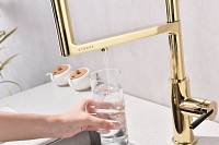Смеситель для кухни Paulmark TORNADO To213402-G  гибкий излив с подключением фильтра глянцевый золото