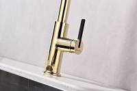Смеситель для кухни Paulmark TORNADO To213402-G  гибкий излив с подключением фильтра глянцевый золото