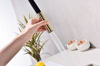 Смеситель для кухни Paulmark TORNADO To213402-G  гибкий излив с подключением фильтра глянцевый золото